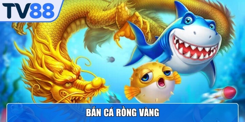 Rồng Vàng mang đến những thử thách thú vị cho bet thủ